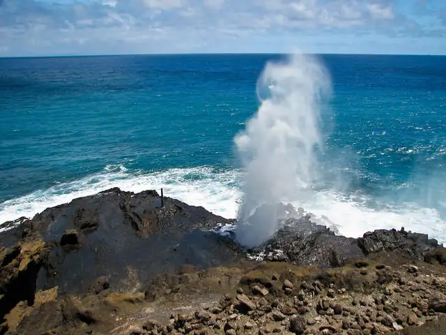 Oahu Food Tour Sites and Bites