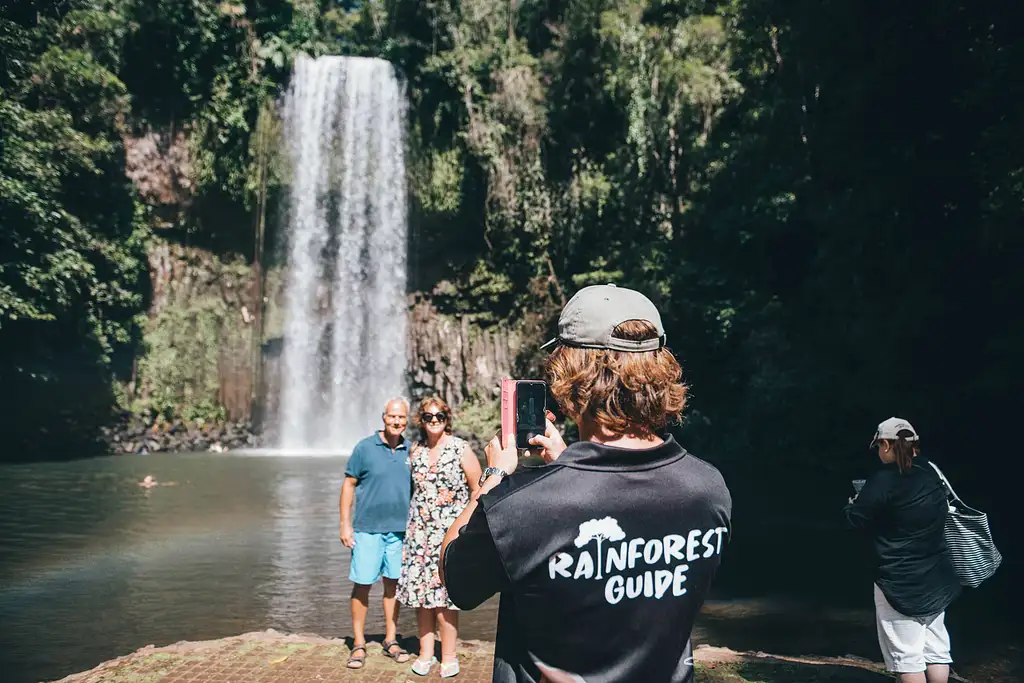 Millaa Millaa Falls Waterfall Swim Atherton Tablelands Cairns Tour