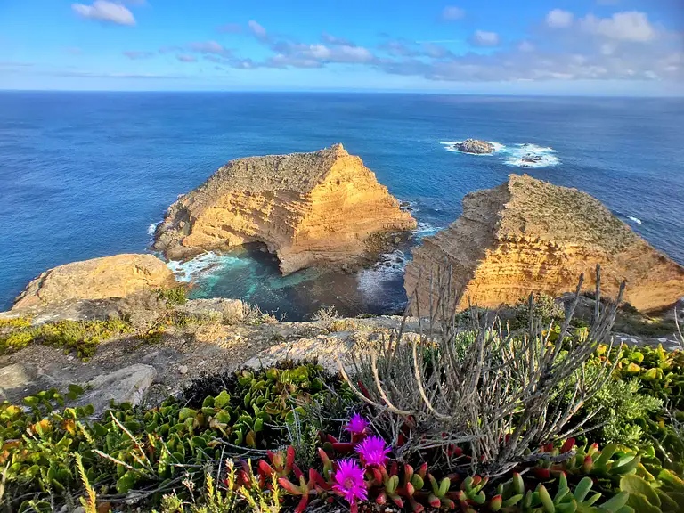 Port Lincoln Wine Tasting Deals