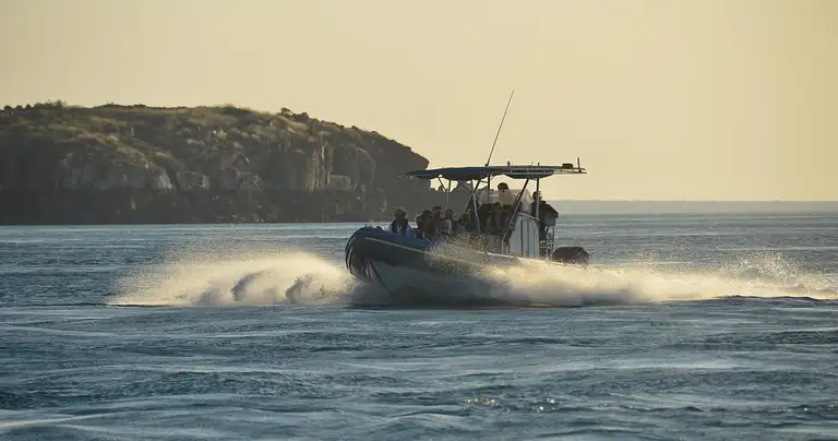 Giant tides sea safari deal