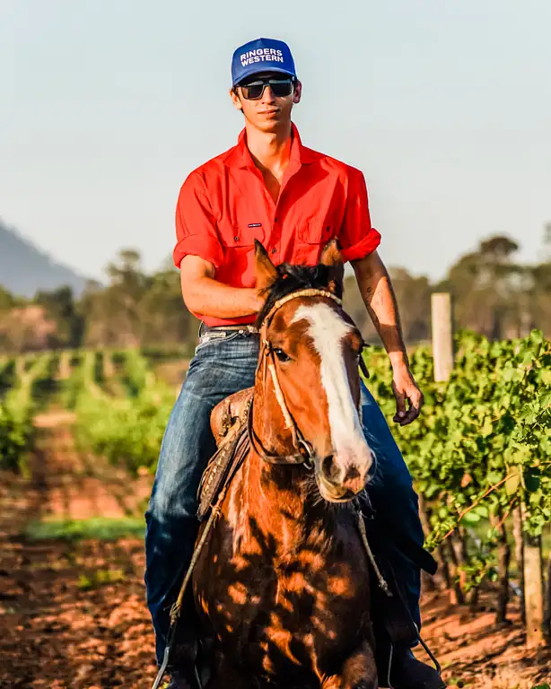 horse riding pokolbin