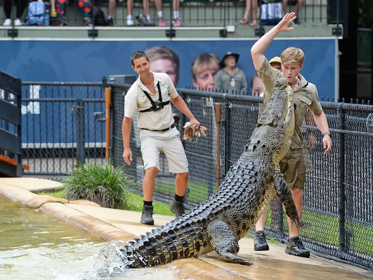 Australia zoo and glass house mountains deal