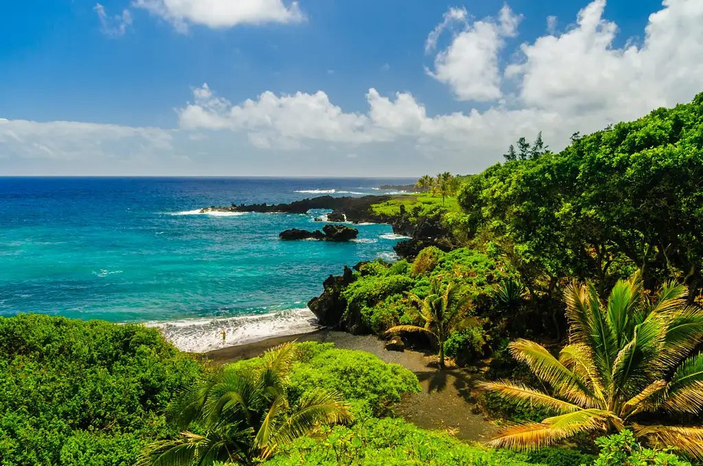 Road to Hana Tour-scaled.jpg