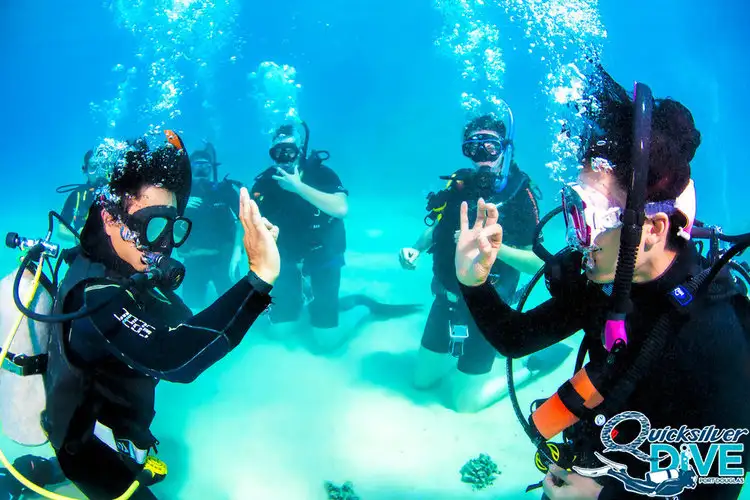 Great Barrier Reef Learn to Dive