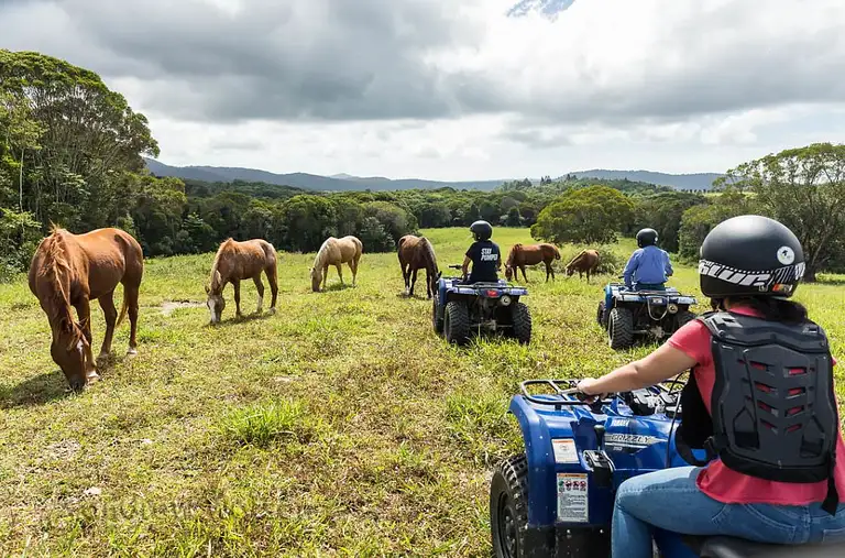 Horse Riding Tour With Petting Zoo