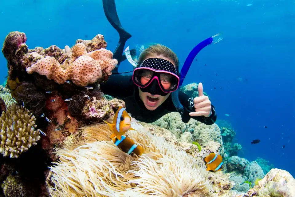 Dreamtime Dive And Snorkel