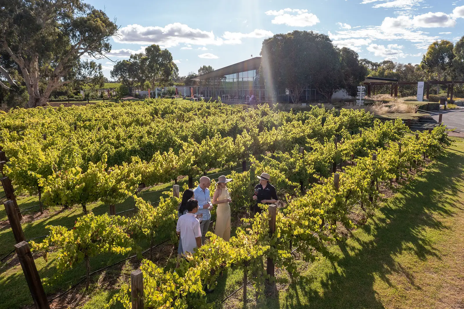 South Australia wine tasting tours