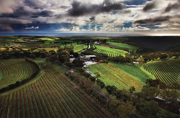 Adelaide Wine Tasting Tour