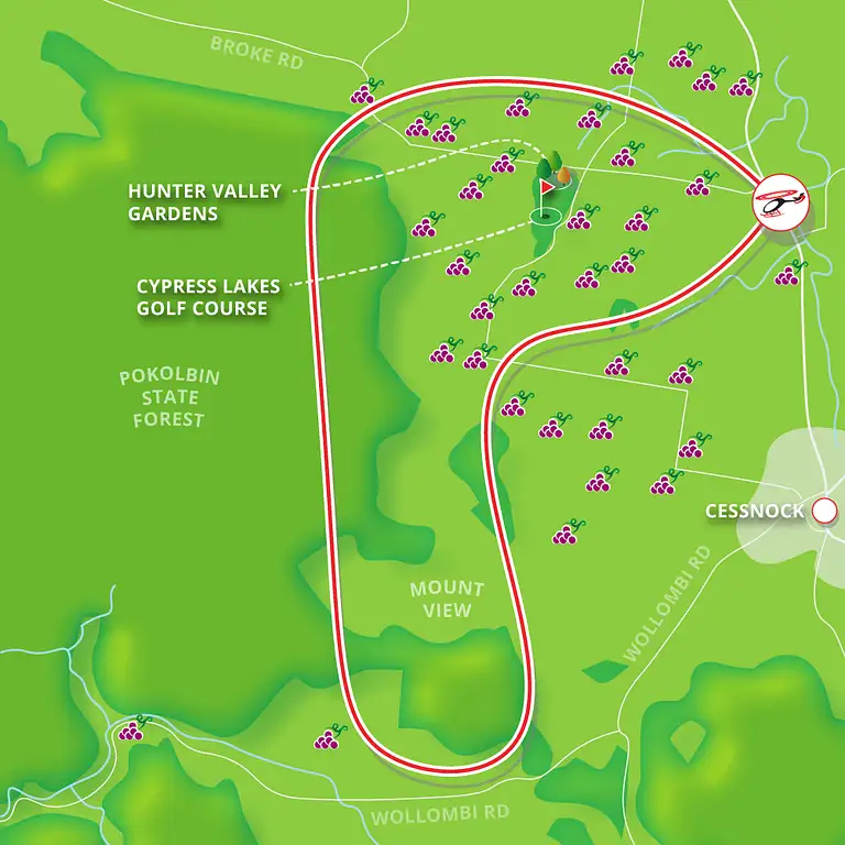 Hunter Valley Scenic Flights