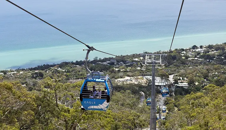 Arthurs Seat summit
