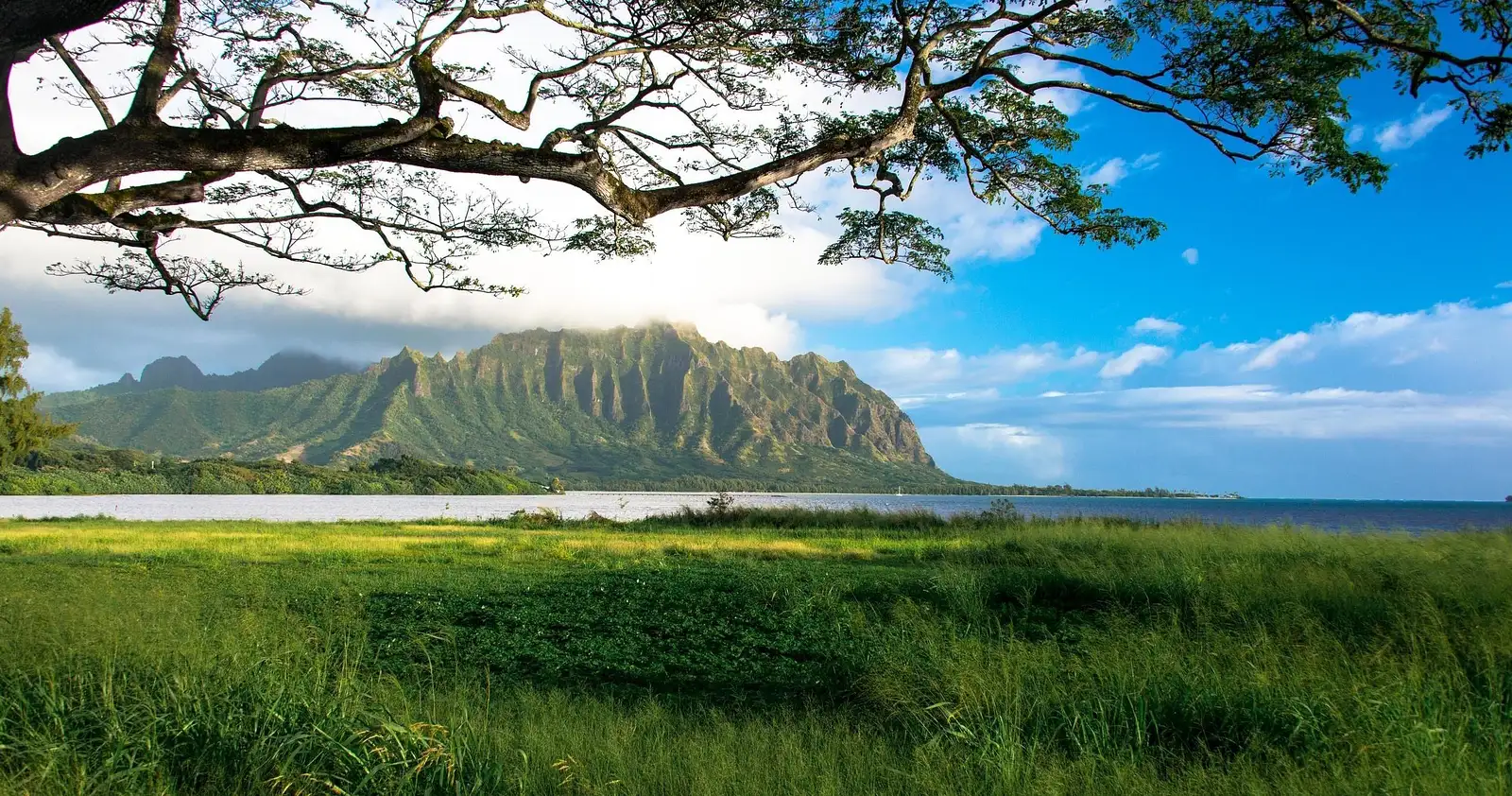 Oahu photography tours