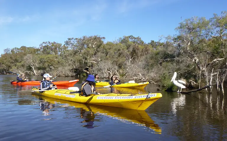 Perth Canning River Kayaking Experience with Expert Guide