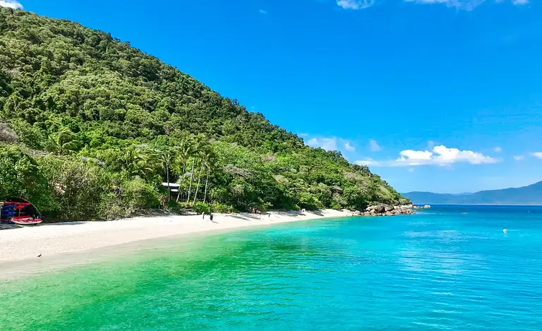 Best Full Day Fitzroy Island Tour