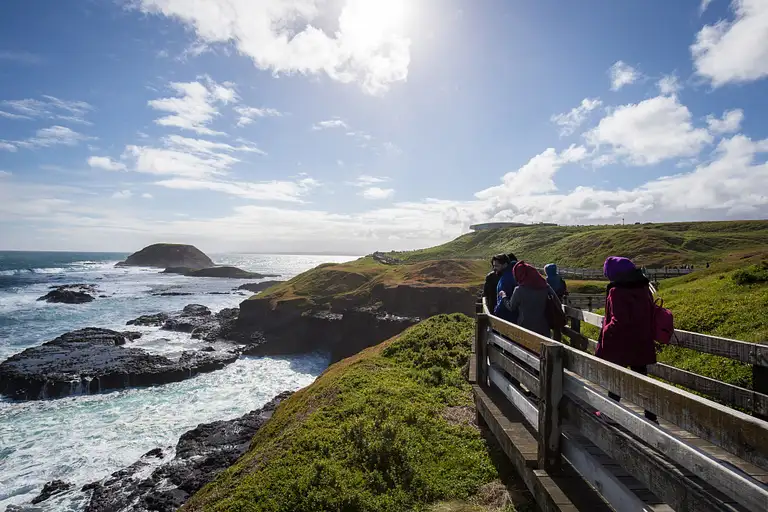 Phillip Island Penguin Parade Tour Discount