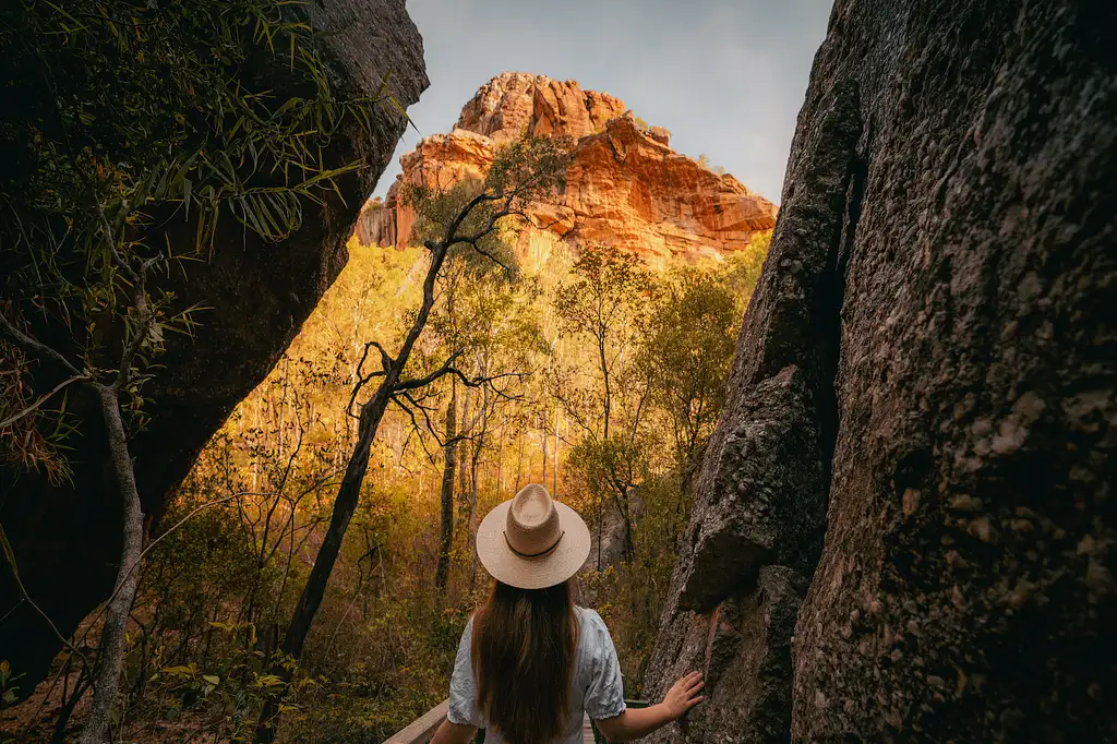 Best Kakadu Day Tour From Darwin Deals