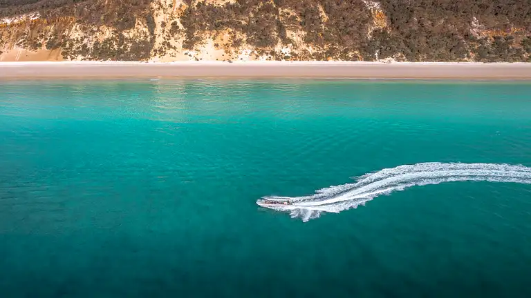 best whale watching hervey bay