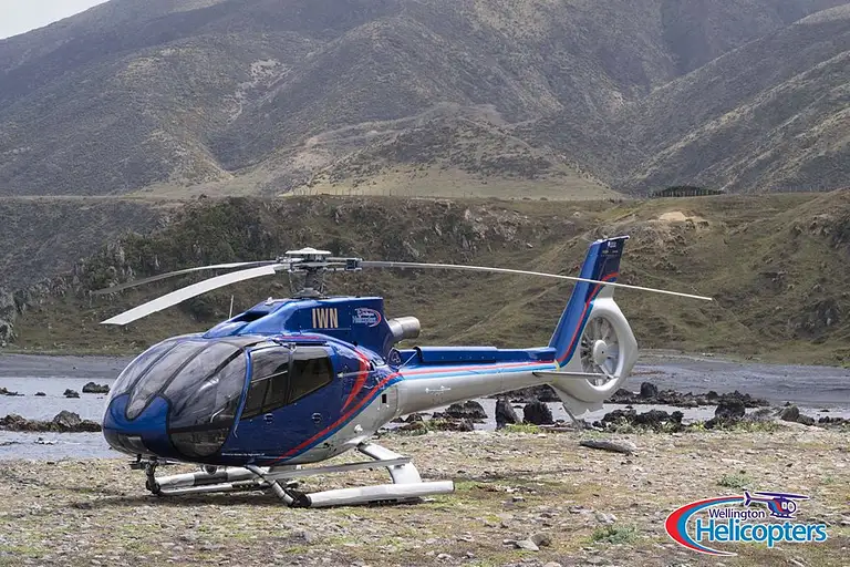 Heli tour of Wellington