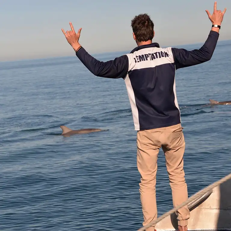 Dolphin Watching Cruise