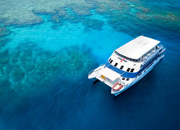 6 Day Great Barrier Reef Liveaboard Tour | Cairns Diving & Snorkelling Adventure | Backpacker Deals