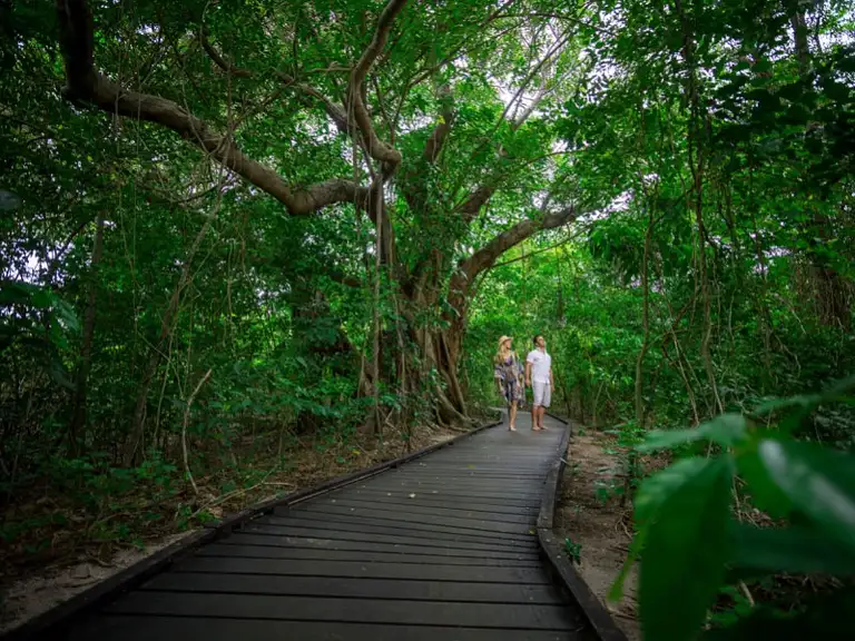 Green Island Tour