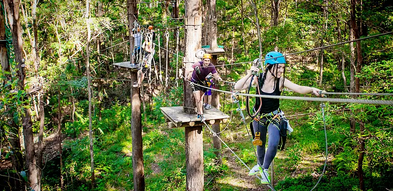 Treetop Challenge Currumbin Wildlife Sanctuary Deals