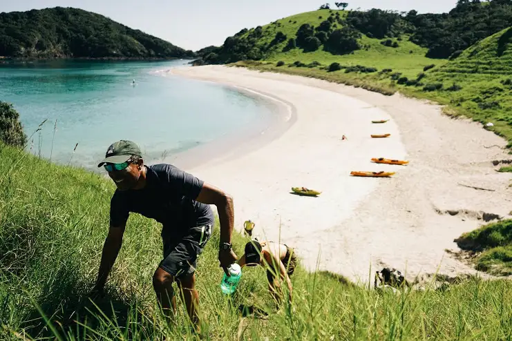 Island Hiki.jpg