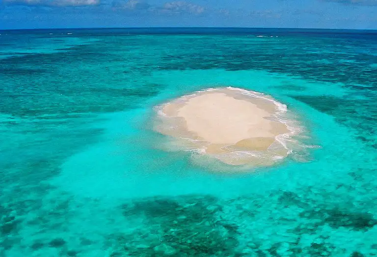 Reef Rainforest Duo 60-min Helicopter Flight Discount