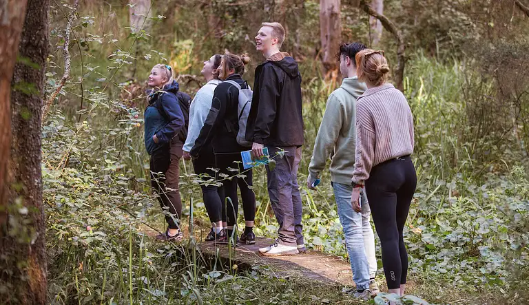 Macquarie Lake Cruise & Nature Walk
