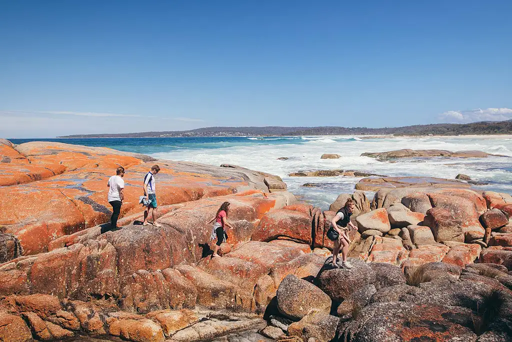 6 Day Tasmania Adventure | Intrepid Travel