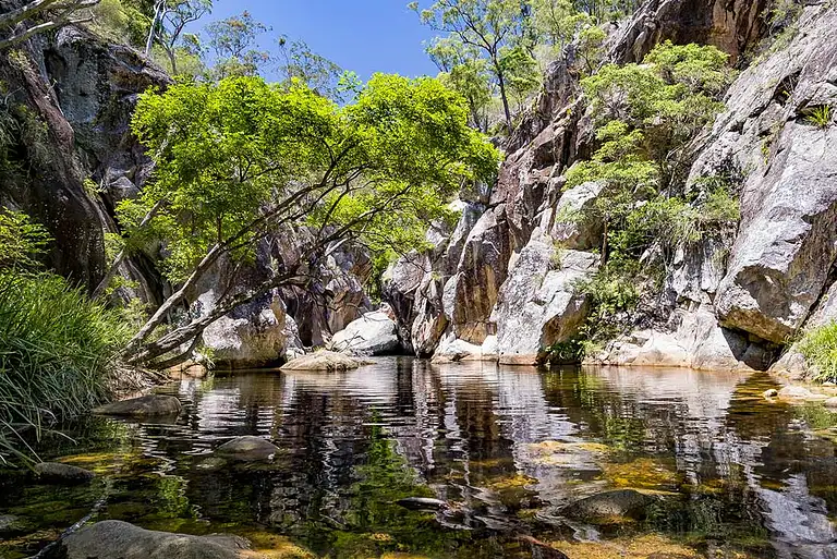5 Day Walk Queensland's Scenic Rim Discount