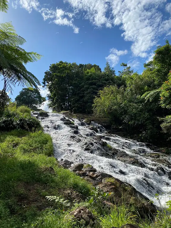 Atherton Tablelands & Cape Tribulation Tour