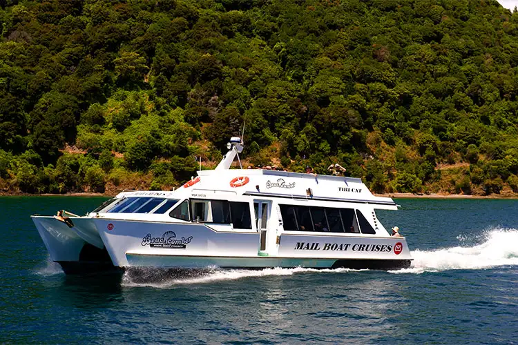 Queen Charlotte Sound Scenic Cruise from Picton