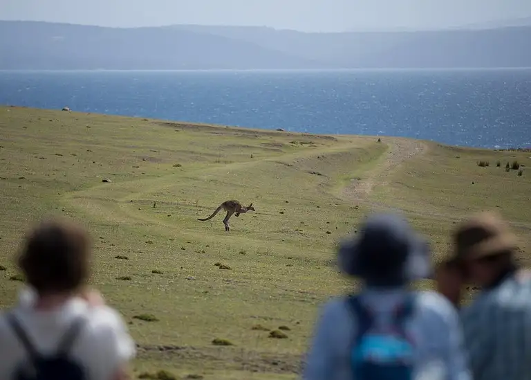 Tourists exploring the Painted Cliffs on Maria Island