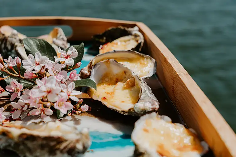 Food Cruise Sunshine Coast