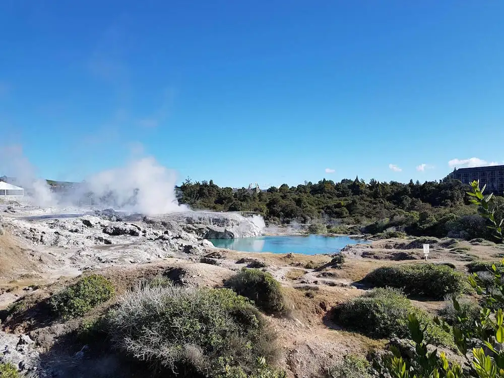 new zealand best tour