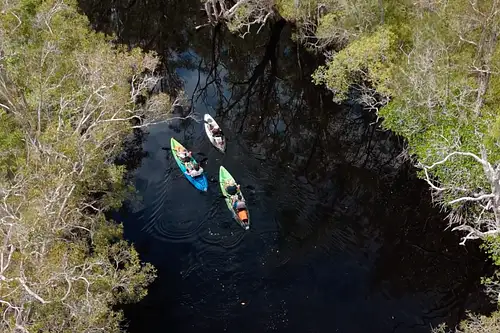 Stingrays & Noosa Everglades Self-Guided Kayak Tour