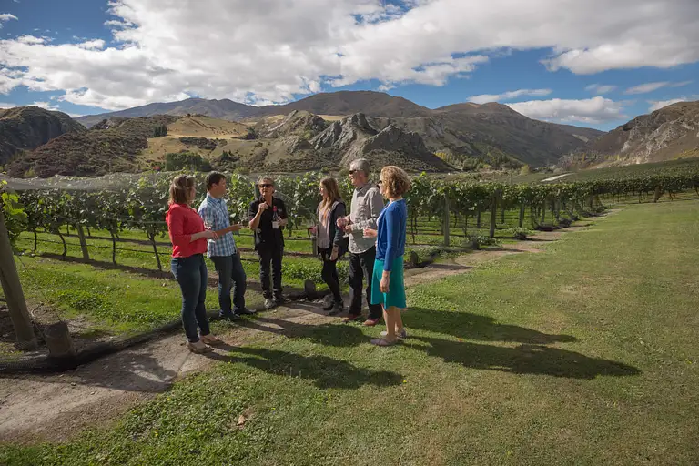 new zealand wine tour