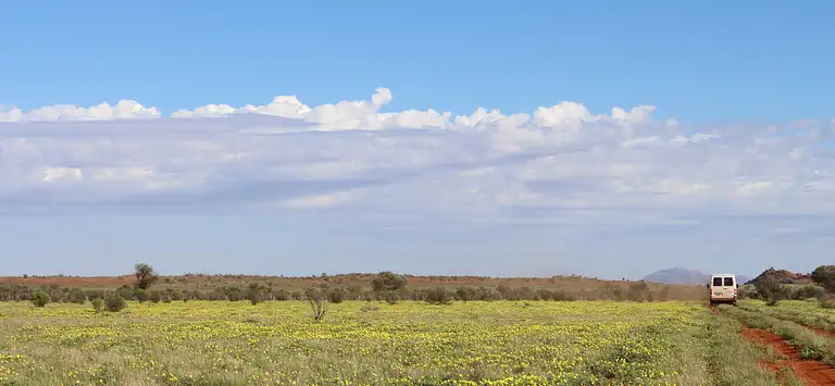 Patji - A True Aboriginal Experience Discount