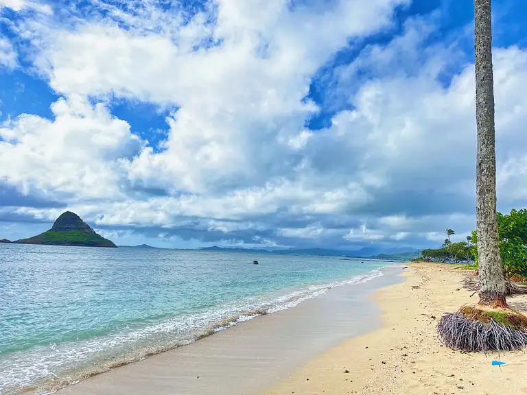 oahu north shore adventures