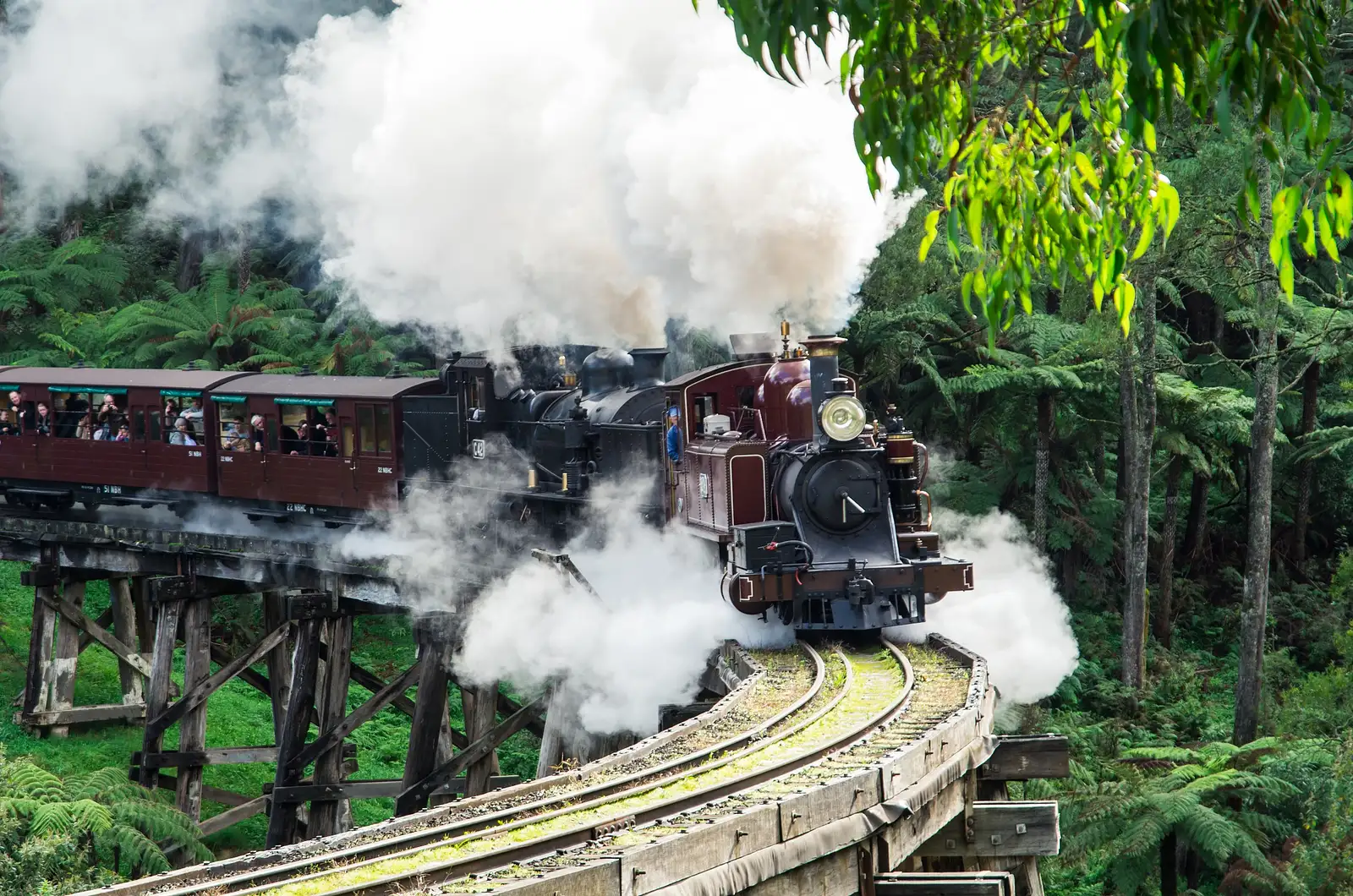 Puffing Billy And Phillip Island Wildlife Bus Tour