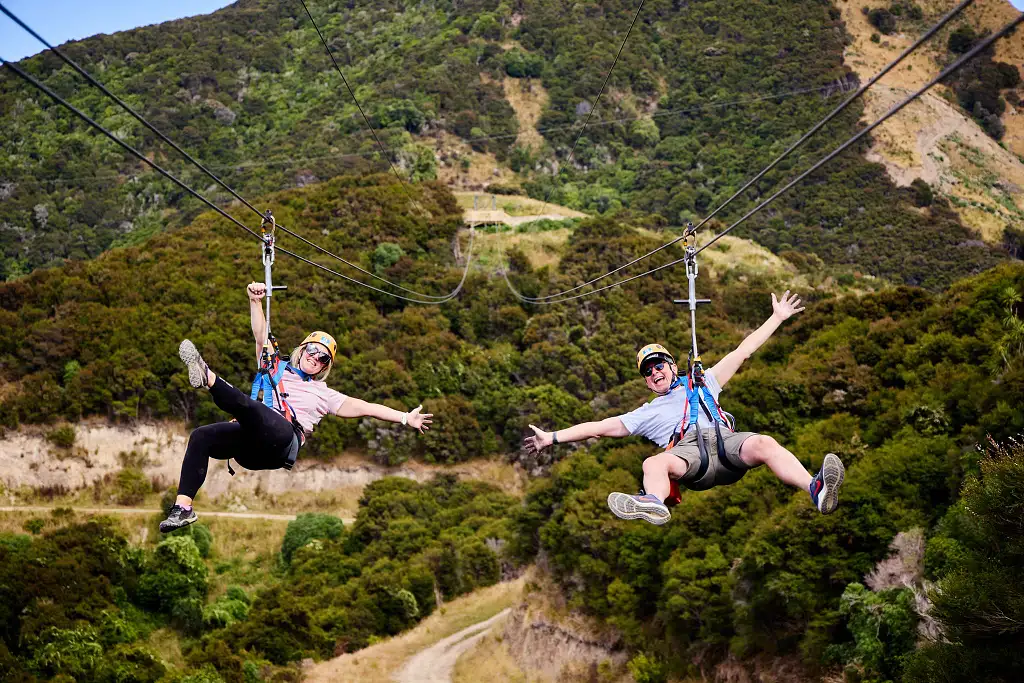 Kaikōura Day Tour from Christchurch with EcoZip Ziplining Adventure