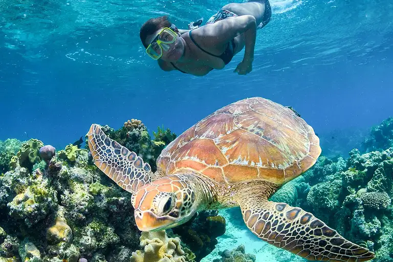AquaQuest Snorkel