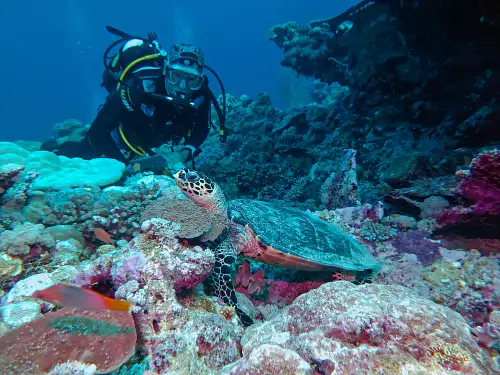 Ningaloo Reef Westside Double Dive Adventure