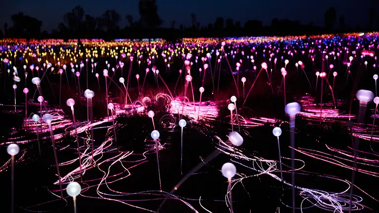 Uluru Sunrise & Field of Light Deals