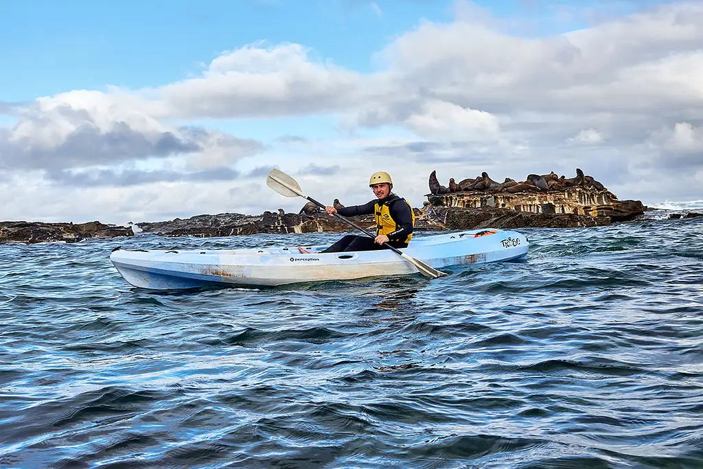 Seal View Kayaking | Apollo Bay