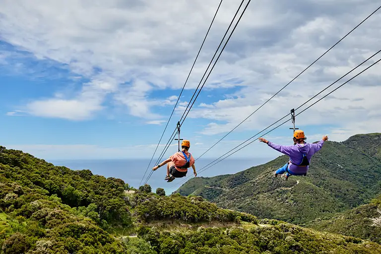 nz ziplining deals