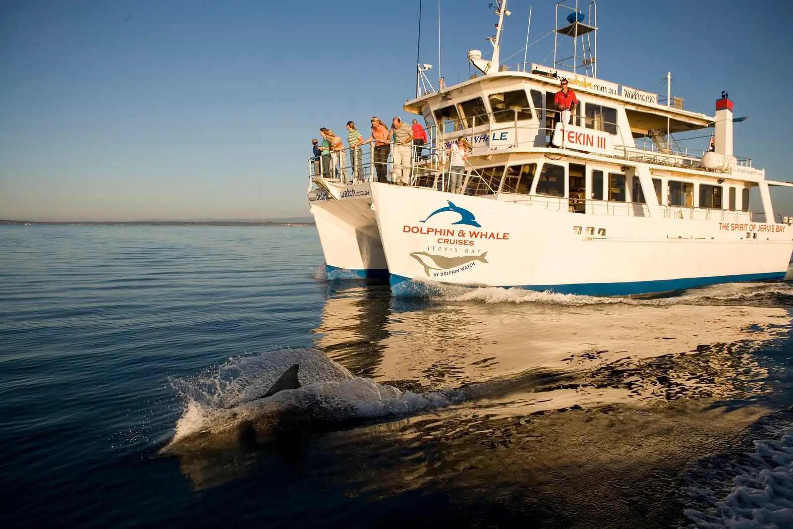 jervis bay dolphin cruises